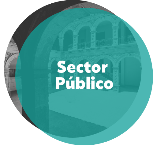 Mesa Sector Público